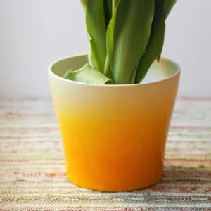 Tulip Pot