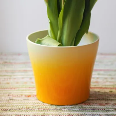 Tulip Pot