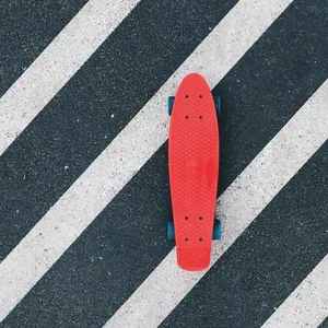 Cruiser Skateboard