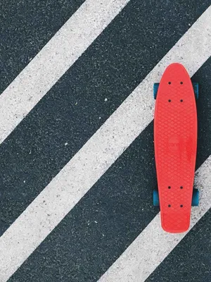 Cruiser Skateboard